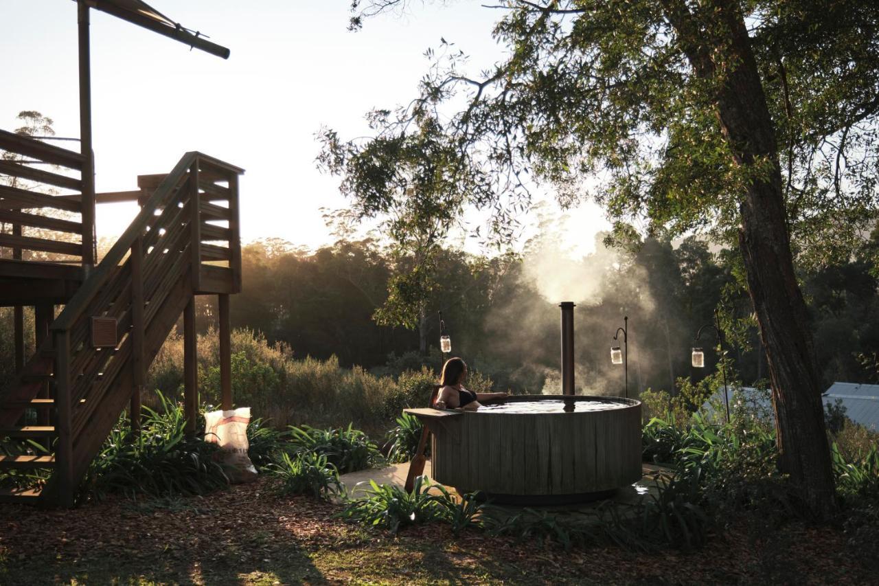 Africamps At Oakhurst Wildernis Esterno foto